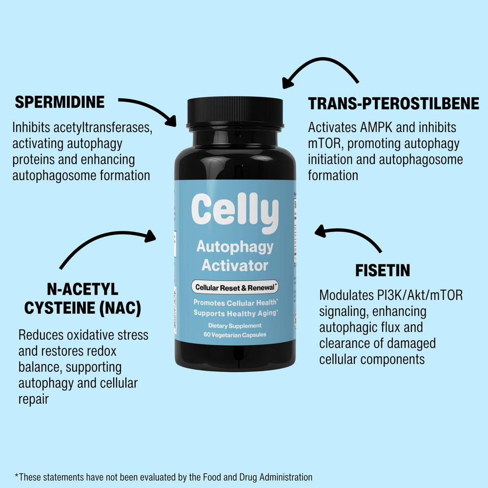 Celly Autophagy Activator two capsules shown as a daily serving option.