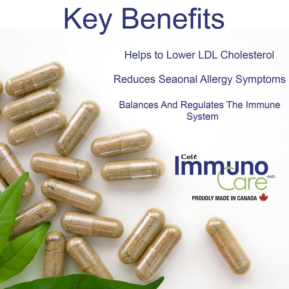 Bromelain enzyme supports gentle digestion and comfort