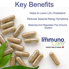 Bromelain enzyme supports gentle digestion and comfort