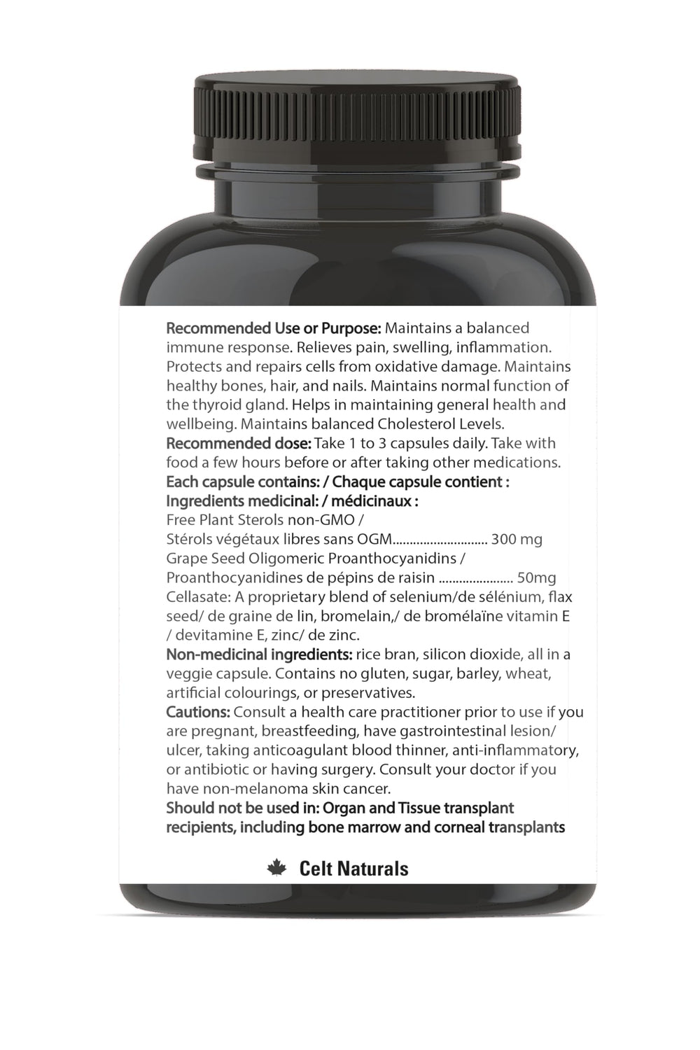 Seven key ingredients highlight a comprehensive immunity boosting blend