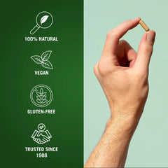 Century Systems The Cleaner Detox capsules displayed for portable, travel-friendly use.