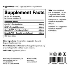 Cerule Cyactiv spirulina capsules in hand; plant-based energy support