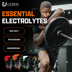 Cerus Electrolyte Tangerine with real fruit flavor delivers refreshing hydration