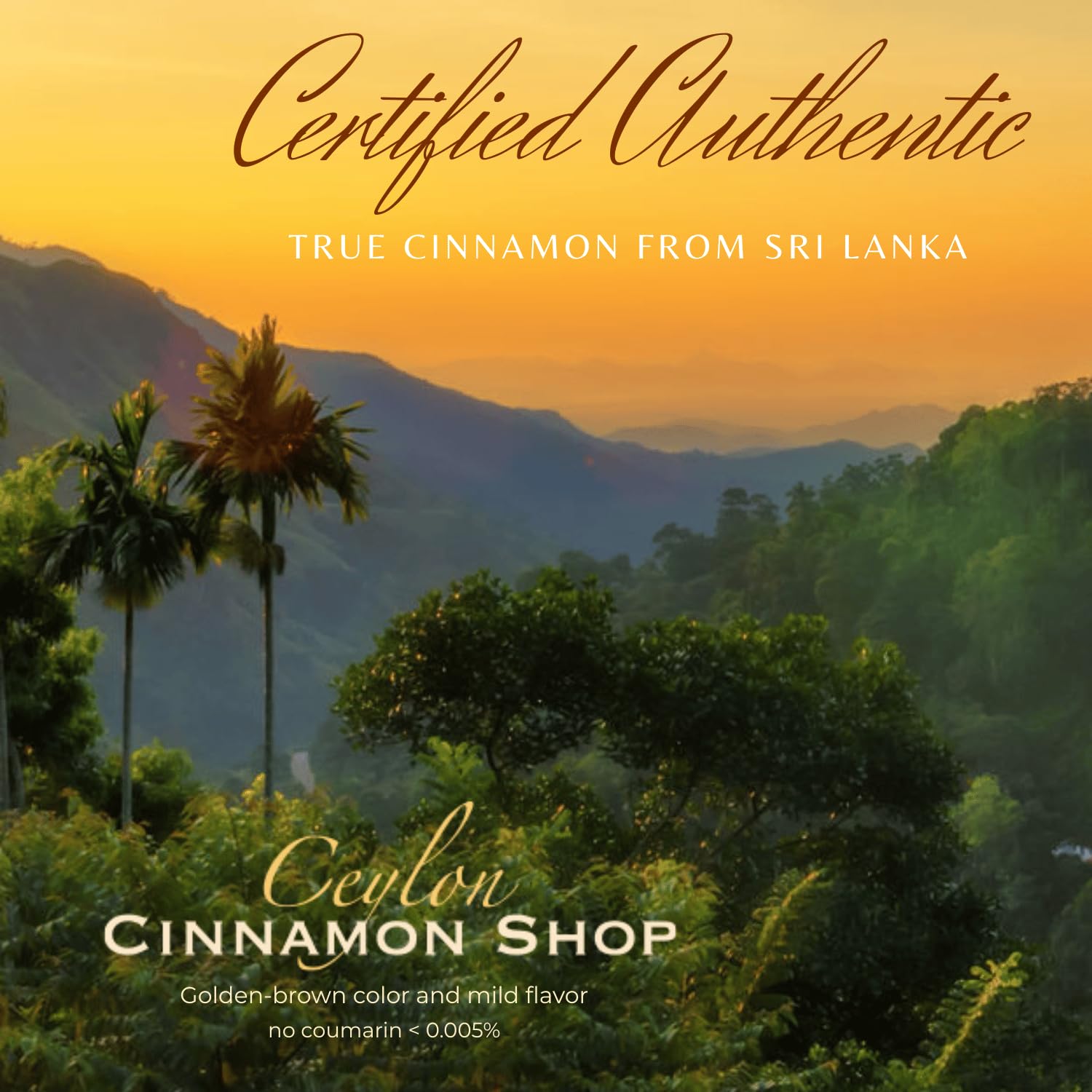 Fairtrade cinnamon sourcing from Ceylon Cinnamon Shop
