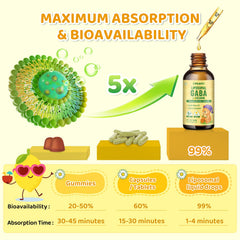 CFILIHTC liposomal GABA L-Theanine drops absorption graphic