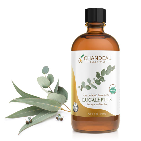 Chandeau Essentials eucalyptus bottle front view for aromatherapy use