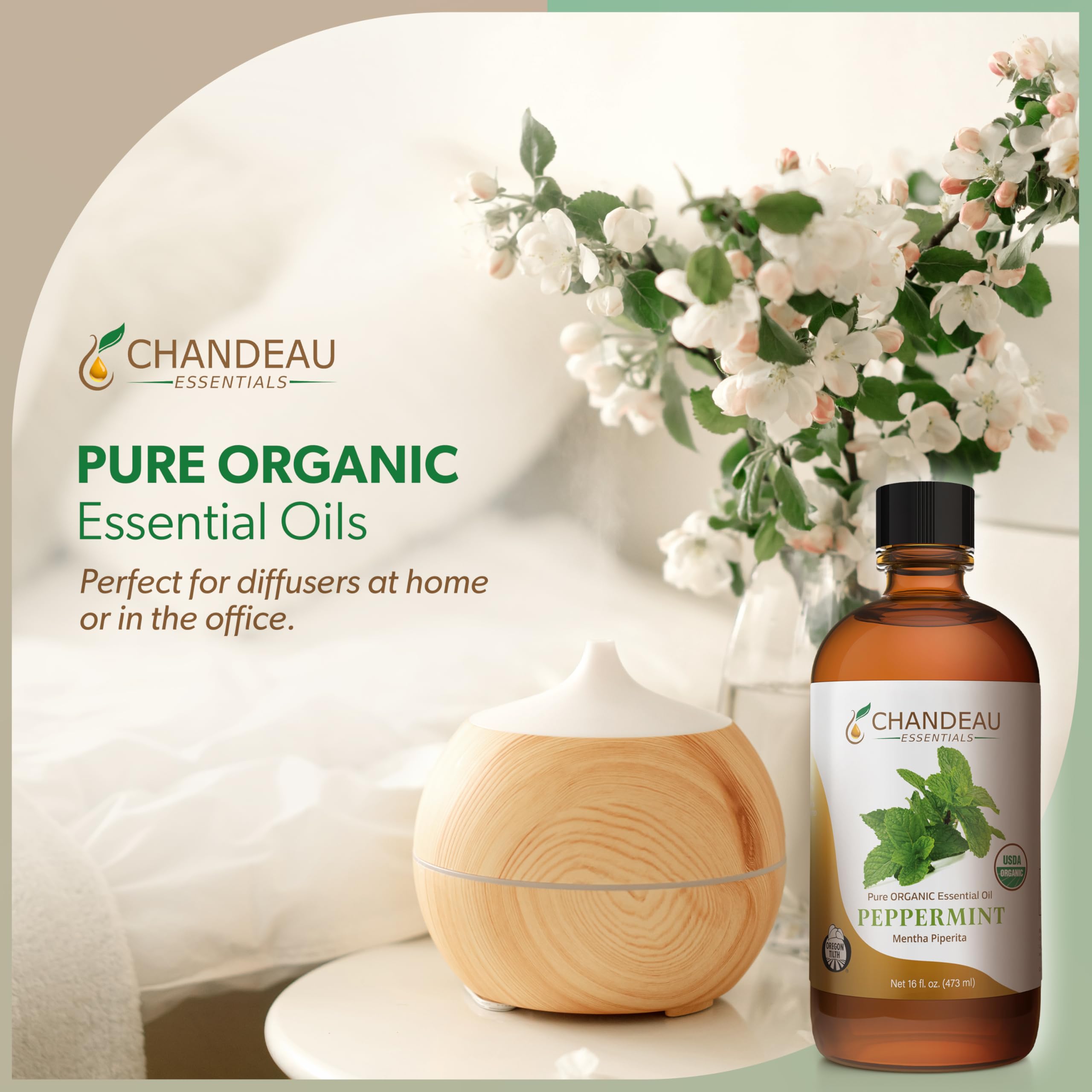 Chandeau Essentials peppermint oil diffuser setup to freshen a room.