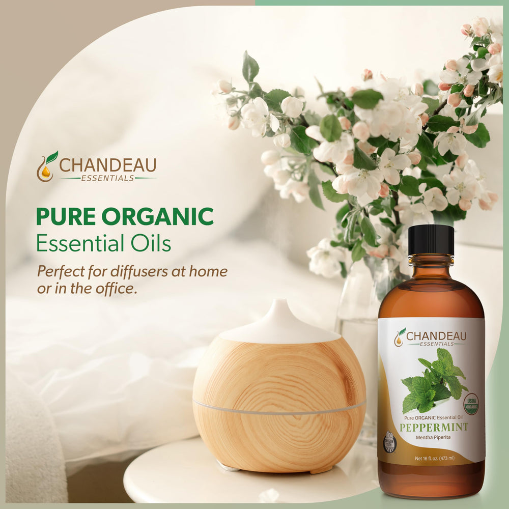 Chandeau Essentials peppermint oil diffuser setup to freshen a room.