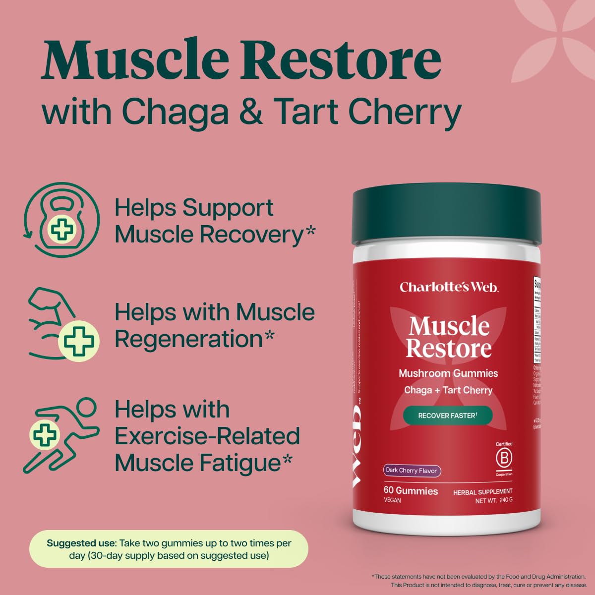 Charlotte's Web chaga extract close-up highlighting bioavailable nutrients