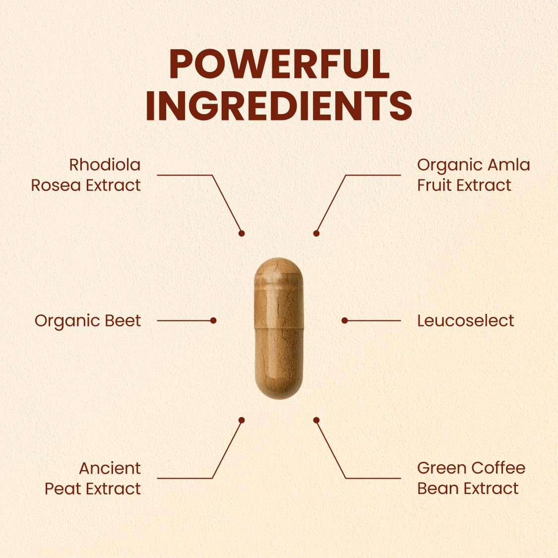 CHOQ Action 2.0 capsules closeup, ready for daily energy support.
