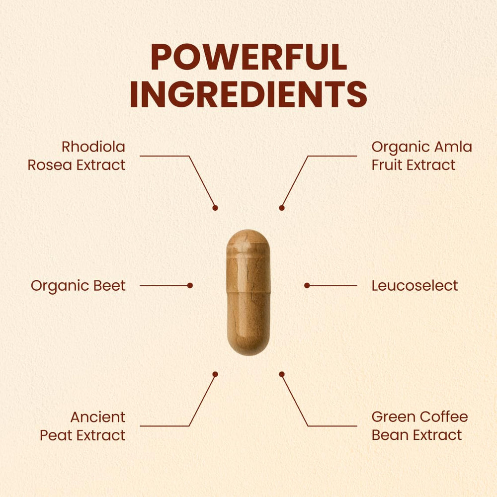 CHOQ Action 2.0 capsules closeup, ready for daily energy support.