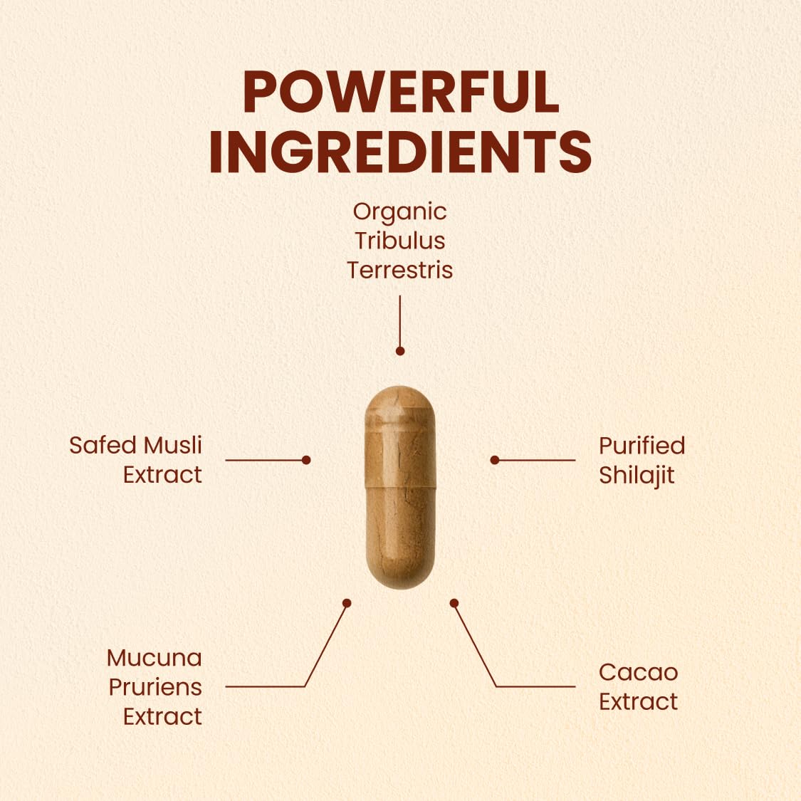 CHOQ Daily capsules close-up—vegan capsules for clean energy