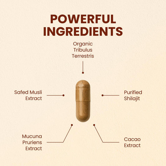 CHOQ Daily capsules close-up—vegan capsules for clean energy