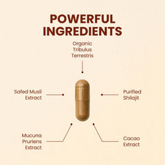 CHOQ Daily capsules close-up—vegan capsules for clean energy