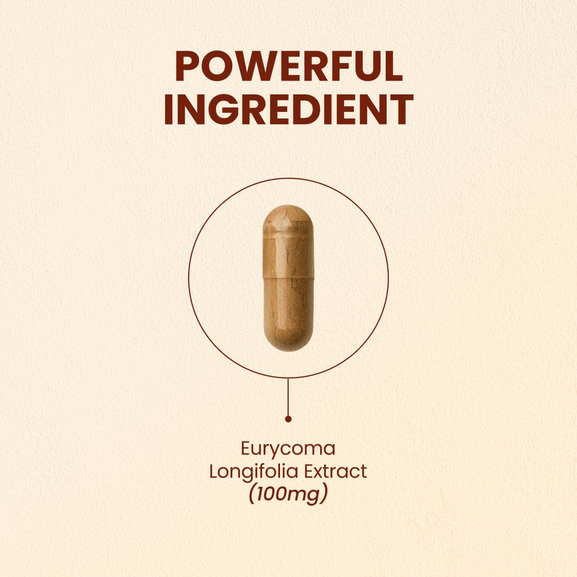 CHOQ Tongkat Ali bottle front indicating LJ100 potency for testosterone support