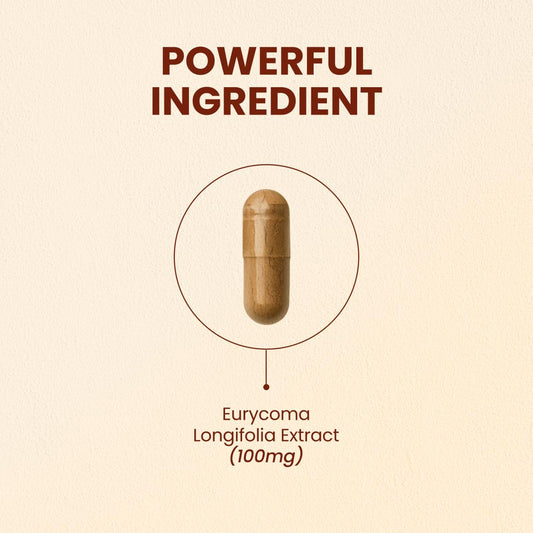 CHOQ Tongkat Ali bottle front indicating LJ100 potency for testosterone support