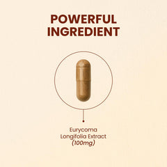 CHOQ Tongkat Ali bottle front indicating LJ100 potency for testosterone support