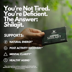 Chuga Shilajit tablets ingredients list with fulvic acid and minerals.