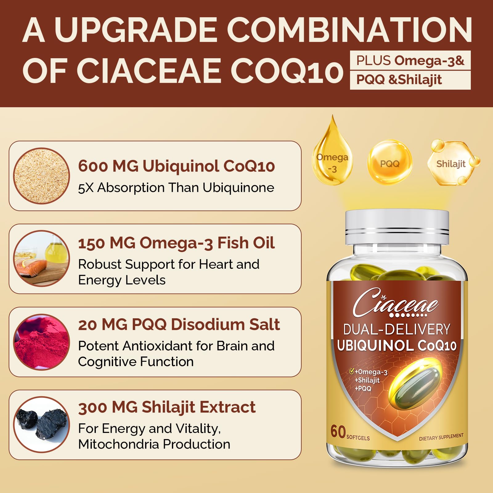 Ciaceae improved bioavailability through protective outer layers for faster absorption.