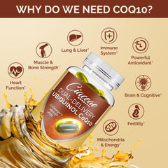Ciaceae purity and natural ingredients label highlights gluten-free, clean supplement.