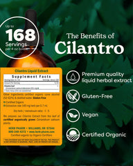 Cilantro leaves hand-harvested for high quality organic extract.