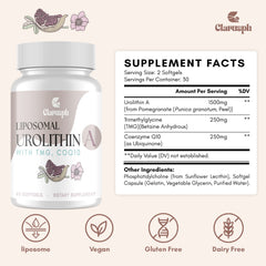 Clarusph energy and focus during a workout session