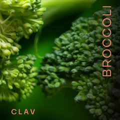 CLAV broccoli sprout extract capsules side view for convenient daily use