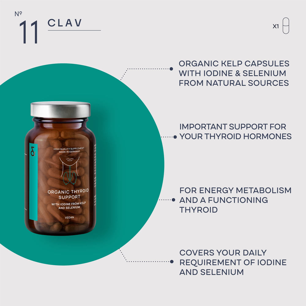 Organic kelp extract powder used by CLAV for plant-based thyroid nutrition