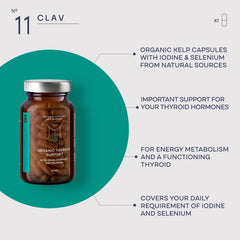 Organic kelp extract powder used by CLAV for plant-based thyroid nutrition