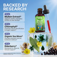 Clean Nutra Mullein Drops label highlights natural ingredients and serving directions.