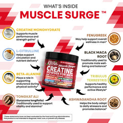 Clean Nutraceuticals Creatine ingredients panel highlights BCAA and HMB synergy.