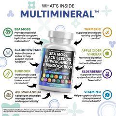 Clean Nutraceuticals turmeric capsules close-up highlighting anti-inflammatory spice.