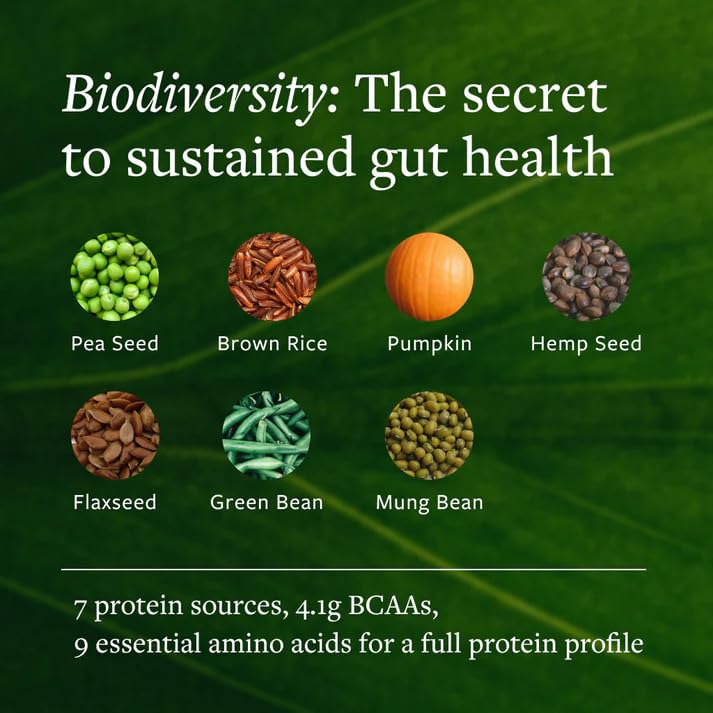 Meal replacement concept with greens bowl demonstrates nourishing everyday option.