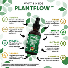 Ashwagandha and spirulina blend in a liquid for quick absorption