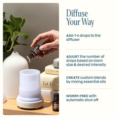 Cliganic diffuser displays seven light colors for customizable mood lighting.
