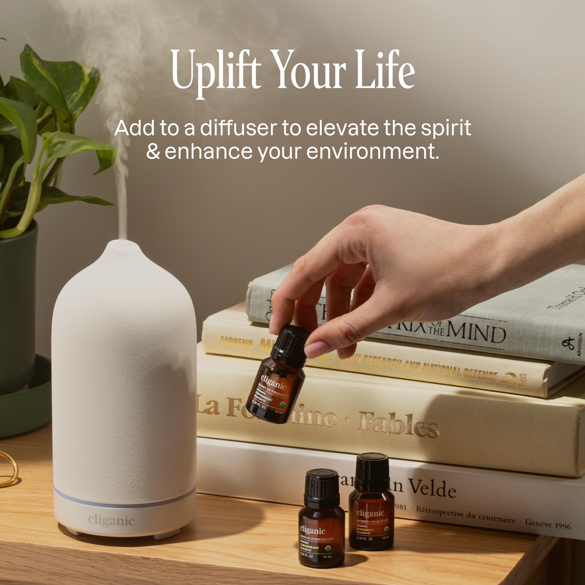 Cliganic Eucalyptus essential oil bottle close-up emphasizing invigorating scent for refreshing room ambiance