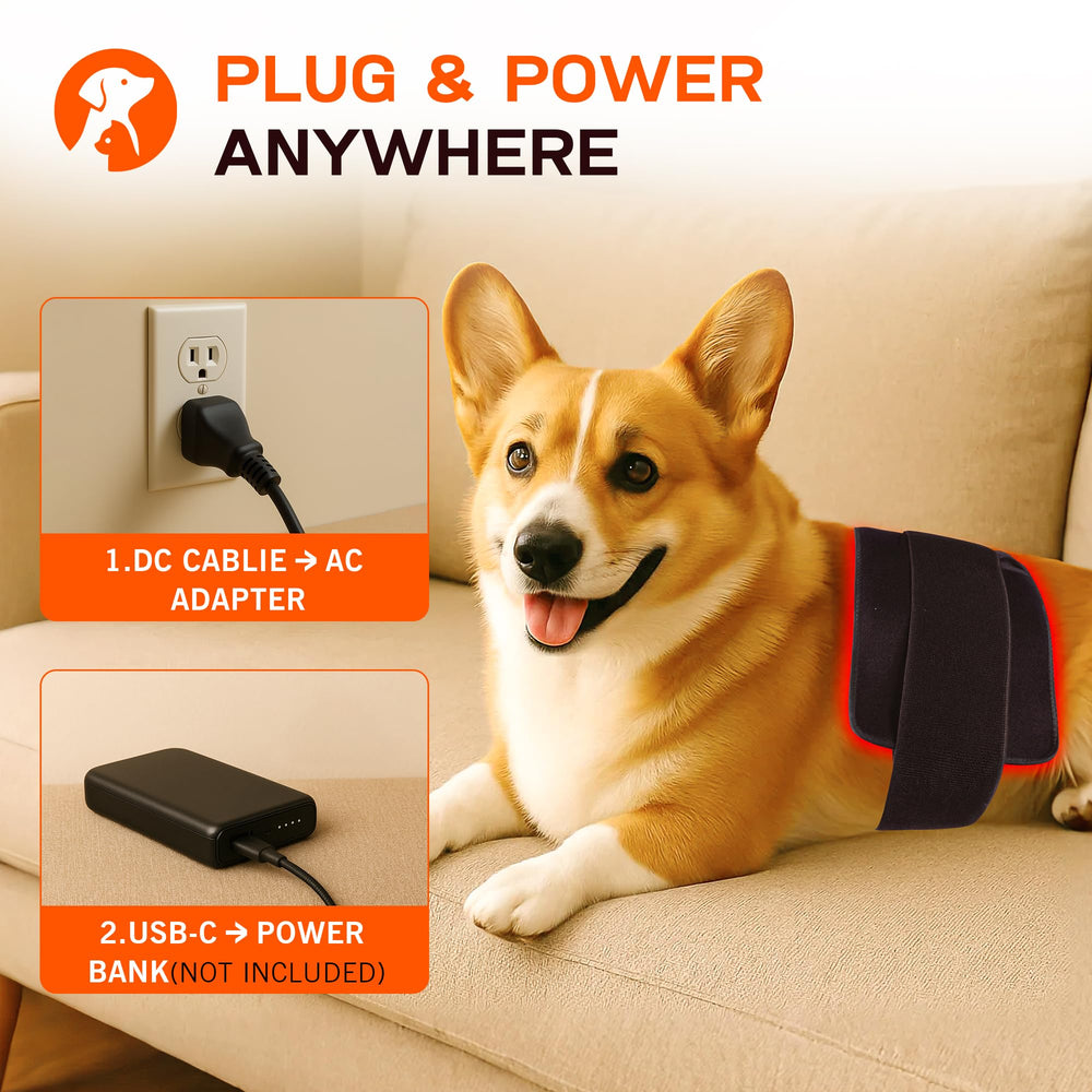 Clocness adjustable strap extends to 33 inches for different dogs.