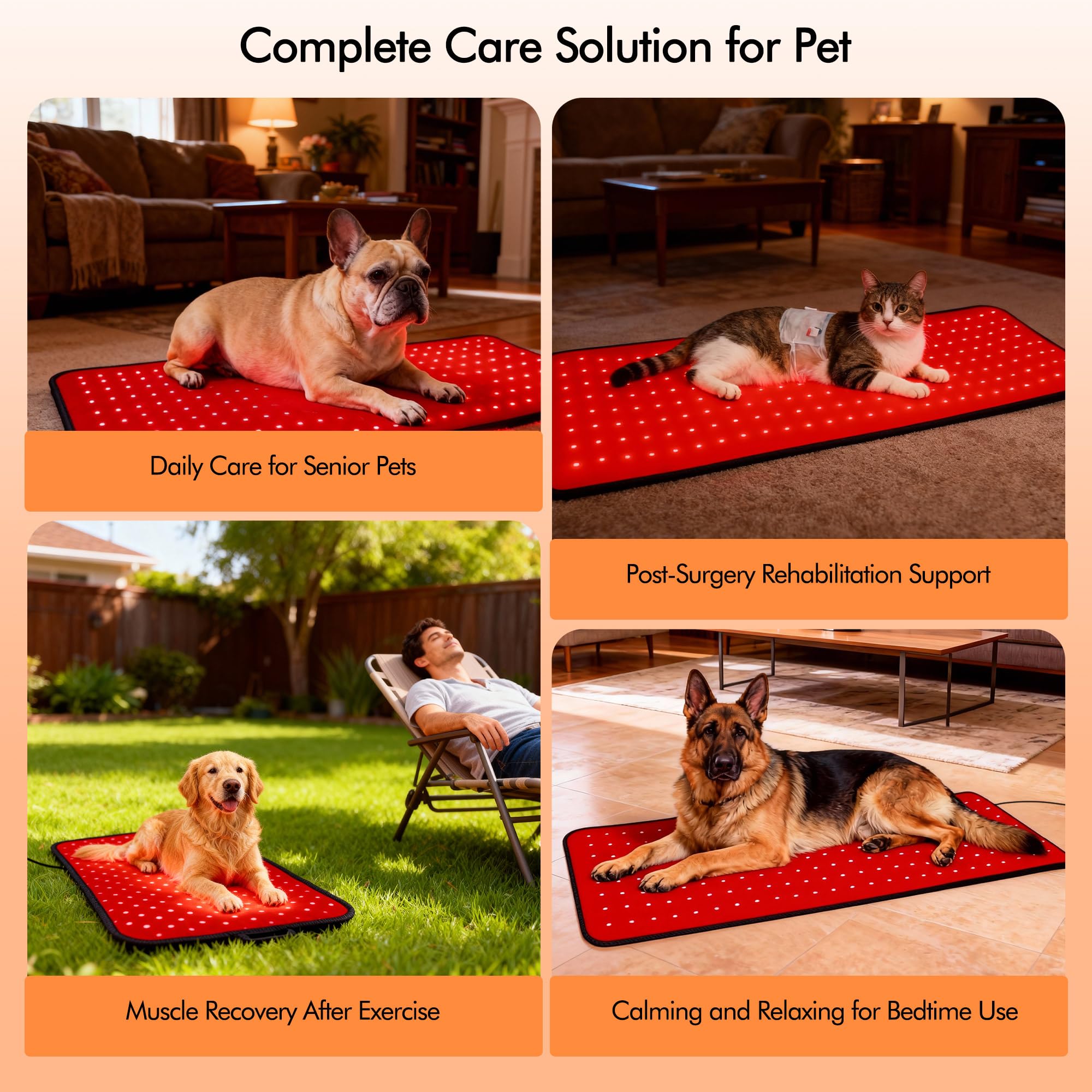 Clocness five-brightness levels customize session intensity for dogs