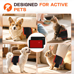 Clocness portable design fits sofa, crate, yard sessions.