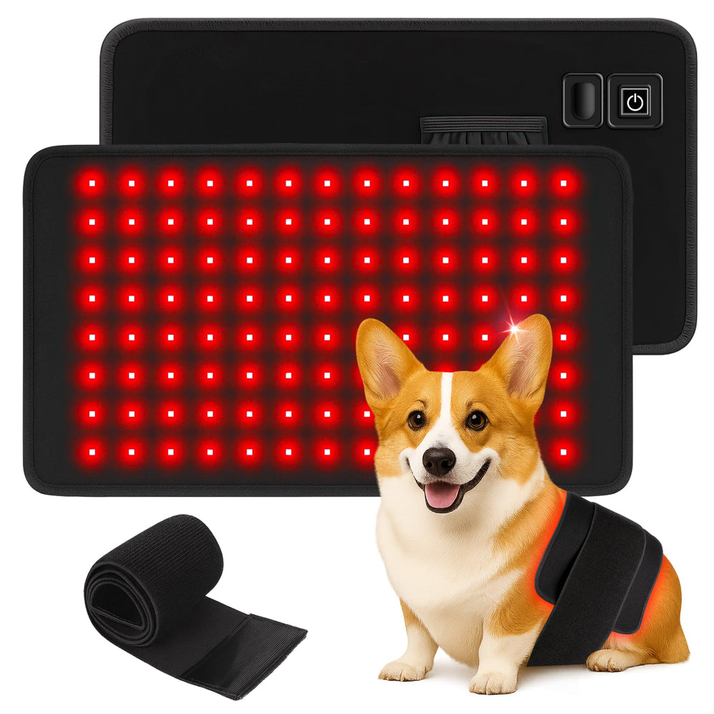 Clocness red light therapy belt for dogs with pad ready for at-home sessions.