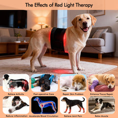 Clocness ten-hertz and forty-hertz pulse modes provide flexible comfort