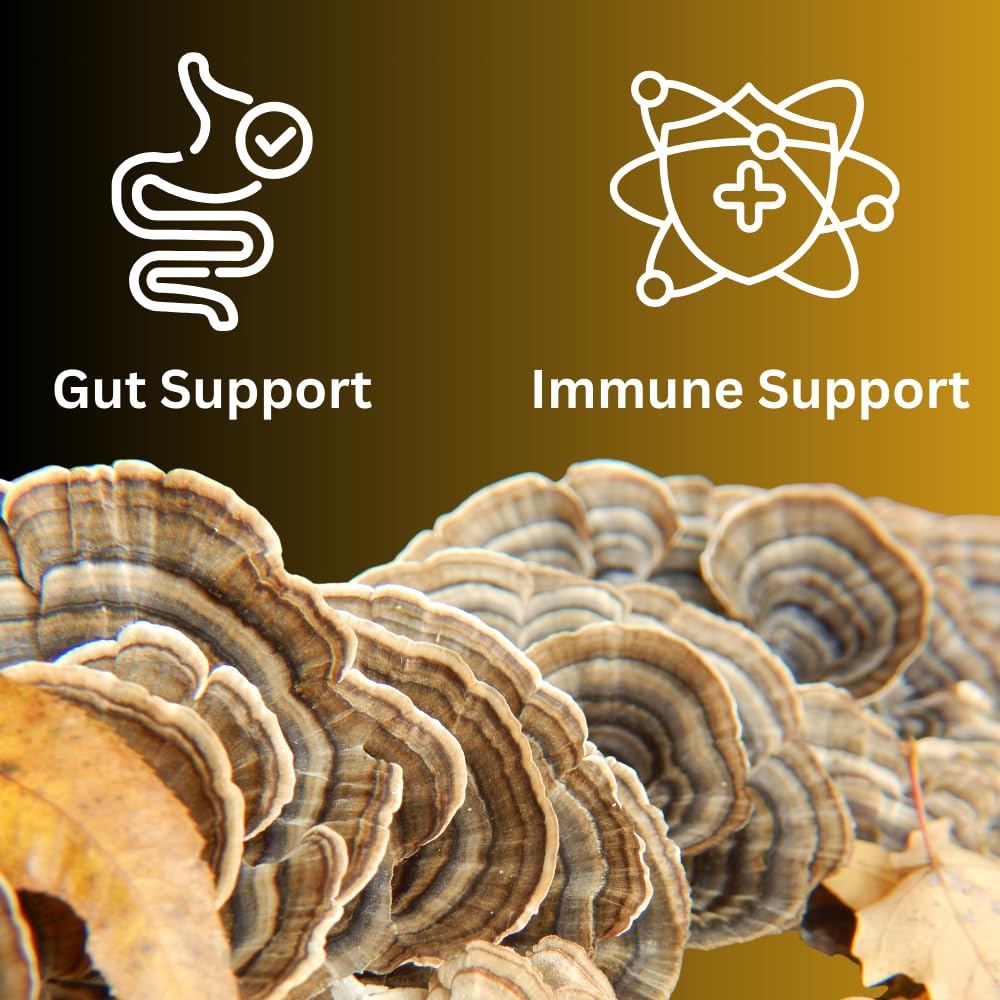 Close-up label on Mag Mushrooms Turkey Tail tincture bottle