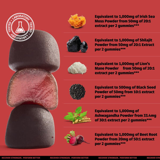Coach Soak Shilajit Gummies close-up showing raspberry-watermelon flavors for sustained vitality.