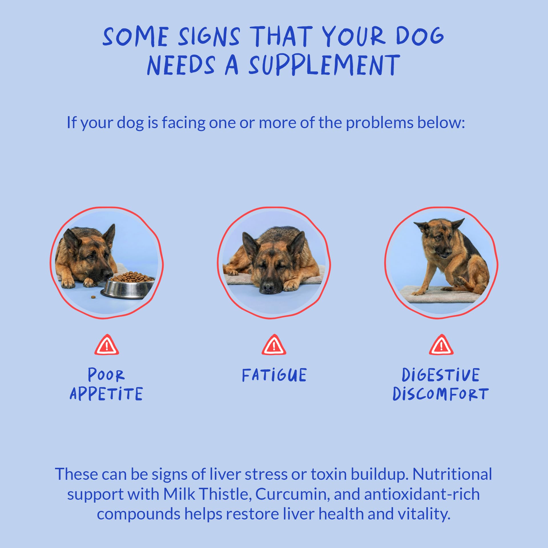 EPA and DHA provide omega fatty acids for overall canine well-being.