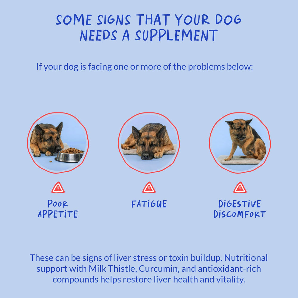 EPA and DHA provide omega fatty acids for overall canine well-being.