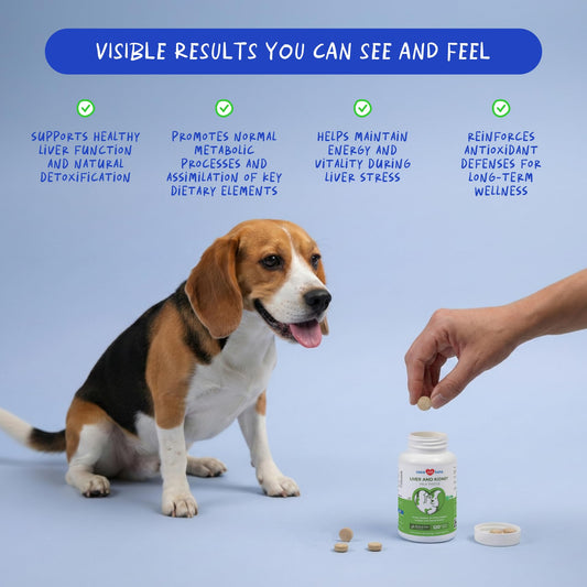 Close-up of Coco and Luna Milk Thistle for Dogs chews, palatable detox support
