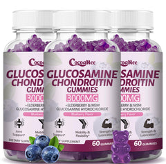 CocoaNee glucosamine chondroitin gummies bottle for daily joint support.