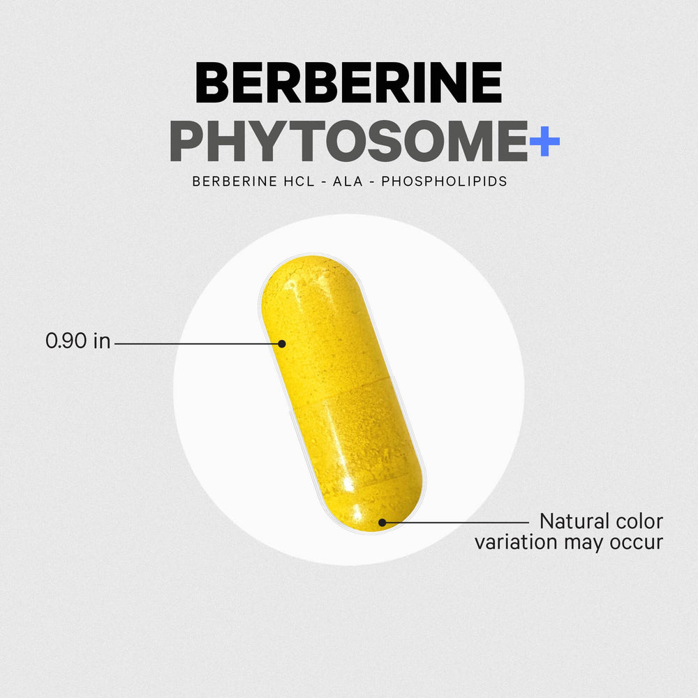 Non-GMO gluten-free vegan Codeage Berberine Phytosome capsules