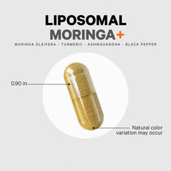 Codeage Liposomal Moringa+ 3-month supply banner for value