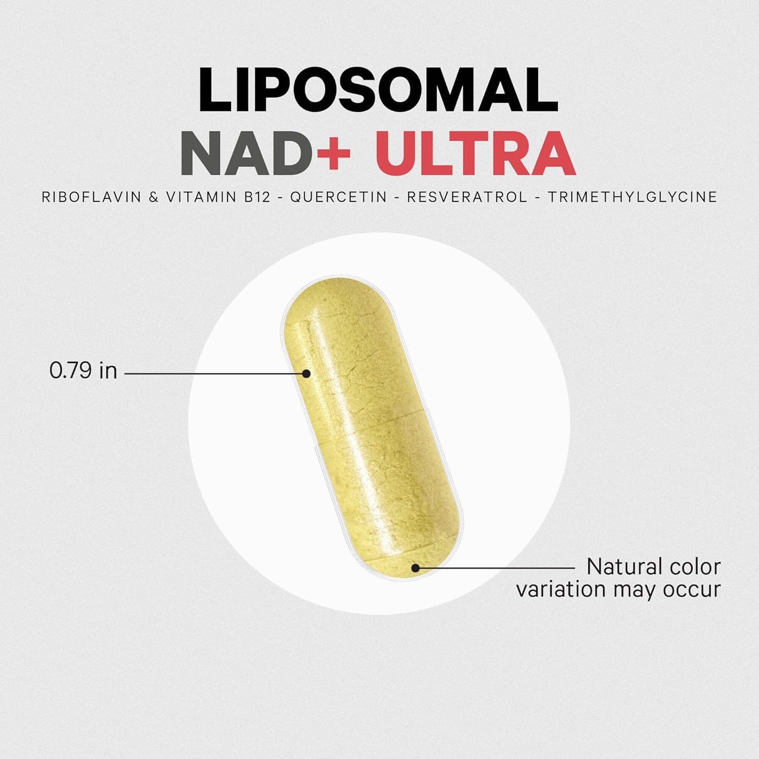 Codeage Liposomal NAD+ Ultra serving scoop illustrates easy daily dosing.